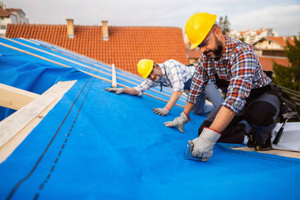 Best Roof Ventilation Installation  in Guerneville, CA